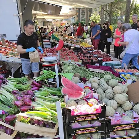 Mipro Mobilhome 6 Lido di Spina