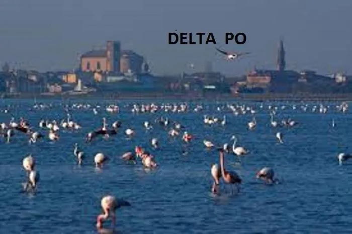 Mipro Mobilhome 6 Semesterbostad *