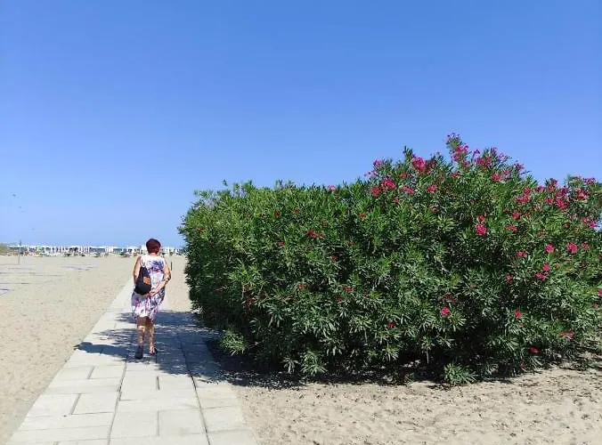 Mipro Mobilhome 6 Casa de Férias