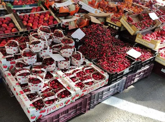 Mipro Mobilhome 6 Casa vacanze